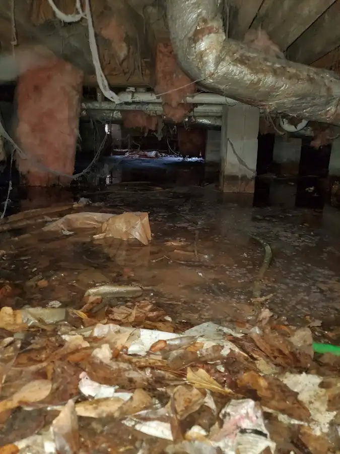 Crawl space flood assessment for Leak Detection & Repair in Hazel Crest