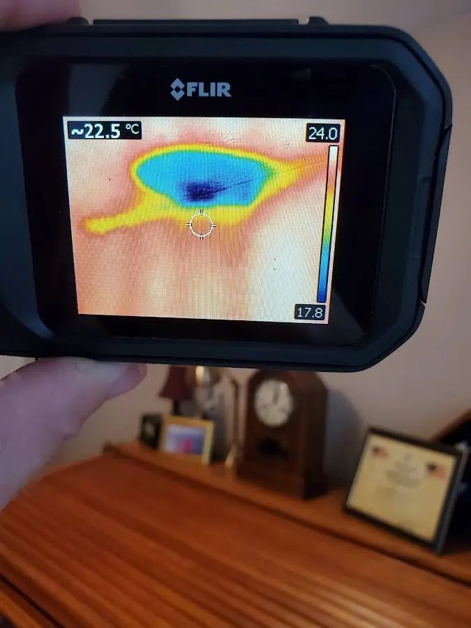 Thermal imaging inspection for water damage in Hazel Crest